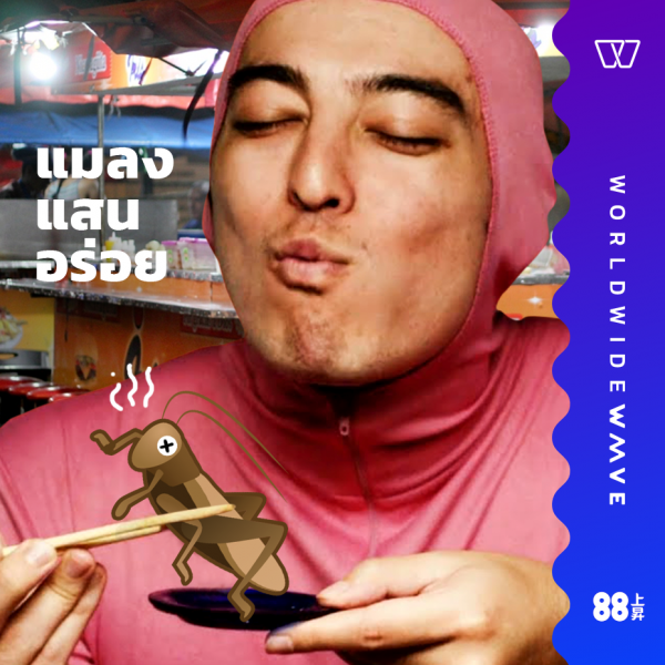 43169813_1901157766635788_6505732558347567104_n